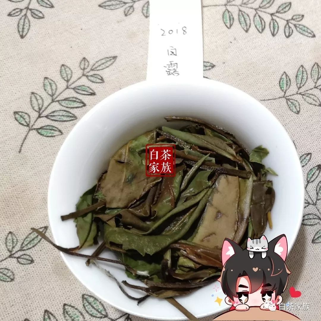 白露茶，为什么是秋白茶的中流砥柱？