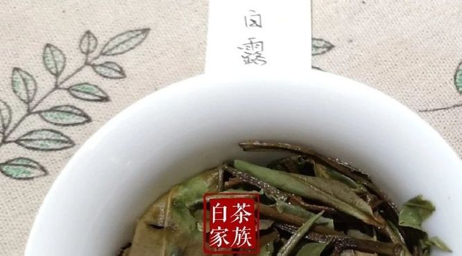 白露茶，为什么是秋白茶的中流砥柱？