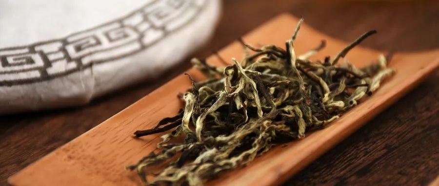 影响白茶转化的五大要素，缺一不可