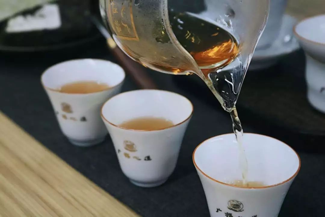 白茶小白如何将白茶品出高级感？只需这三步|白茶学堂