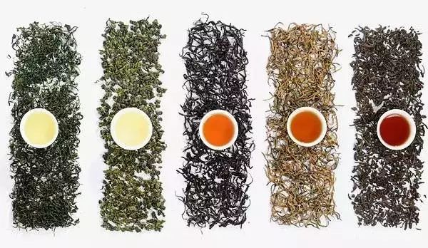 绿茶、白茶、黄茶、青茶、红茶、黑茶，这下终于弄懂了！