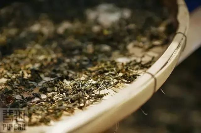古树茶：了解普洱茶的制作流程