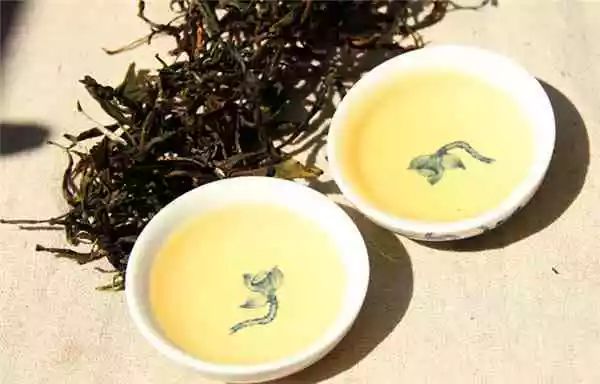 茶界百科普洱茶的主要茶山有哪几座，它们各有什么特点？
