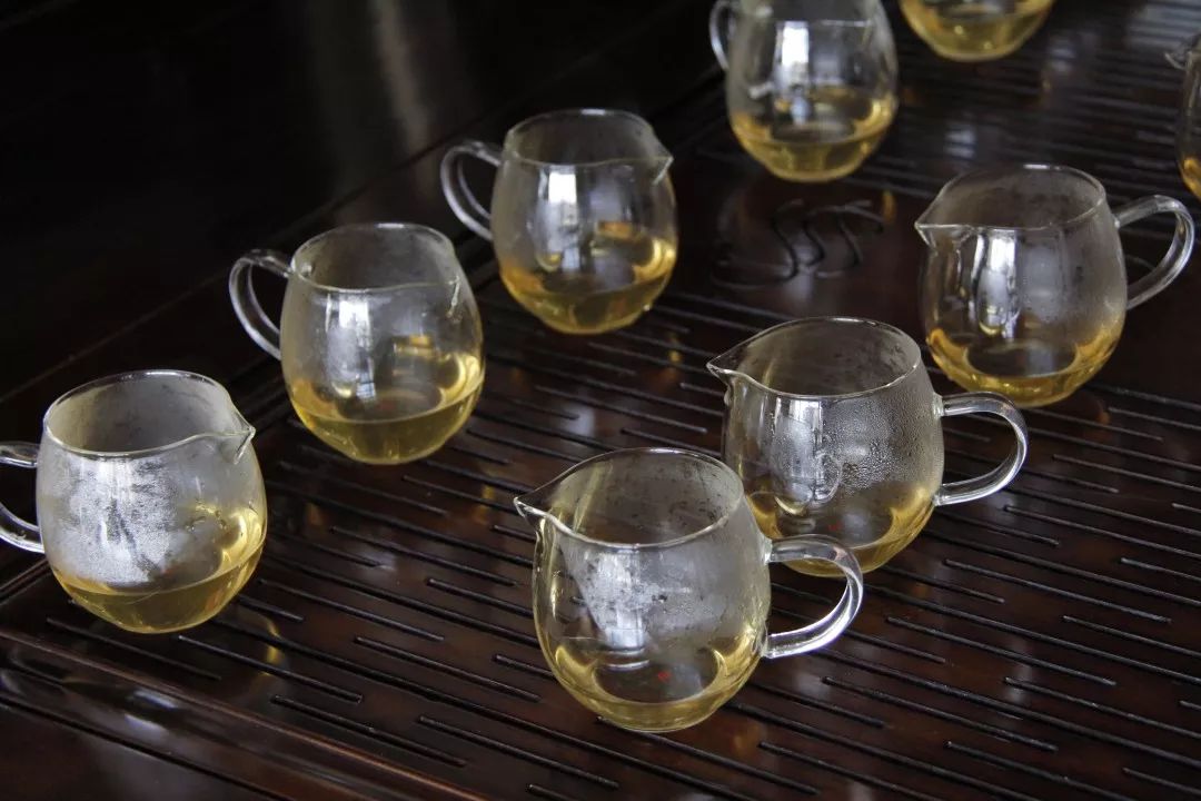 【品鉴会】隐藏在“普洱茶再发现”中的秘密