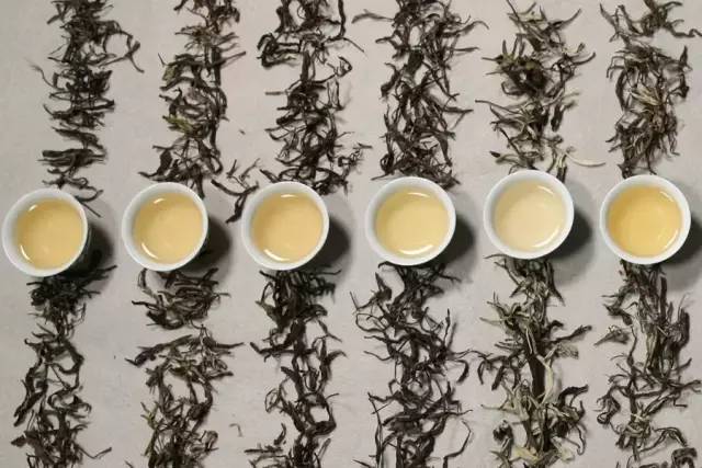 如何泡六种不同的普洱茶