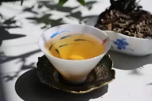 普洱茶究竟是一个什么样的茶类？