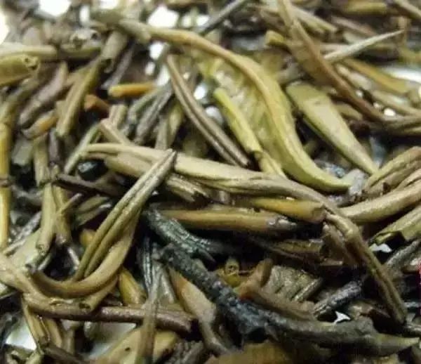 教你鉴别普洱茶，看懂30种普洱茶叶底！
