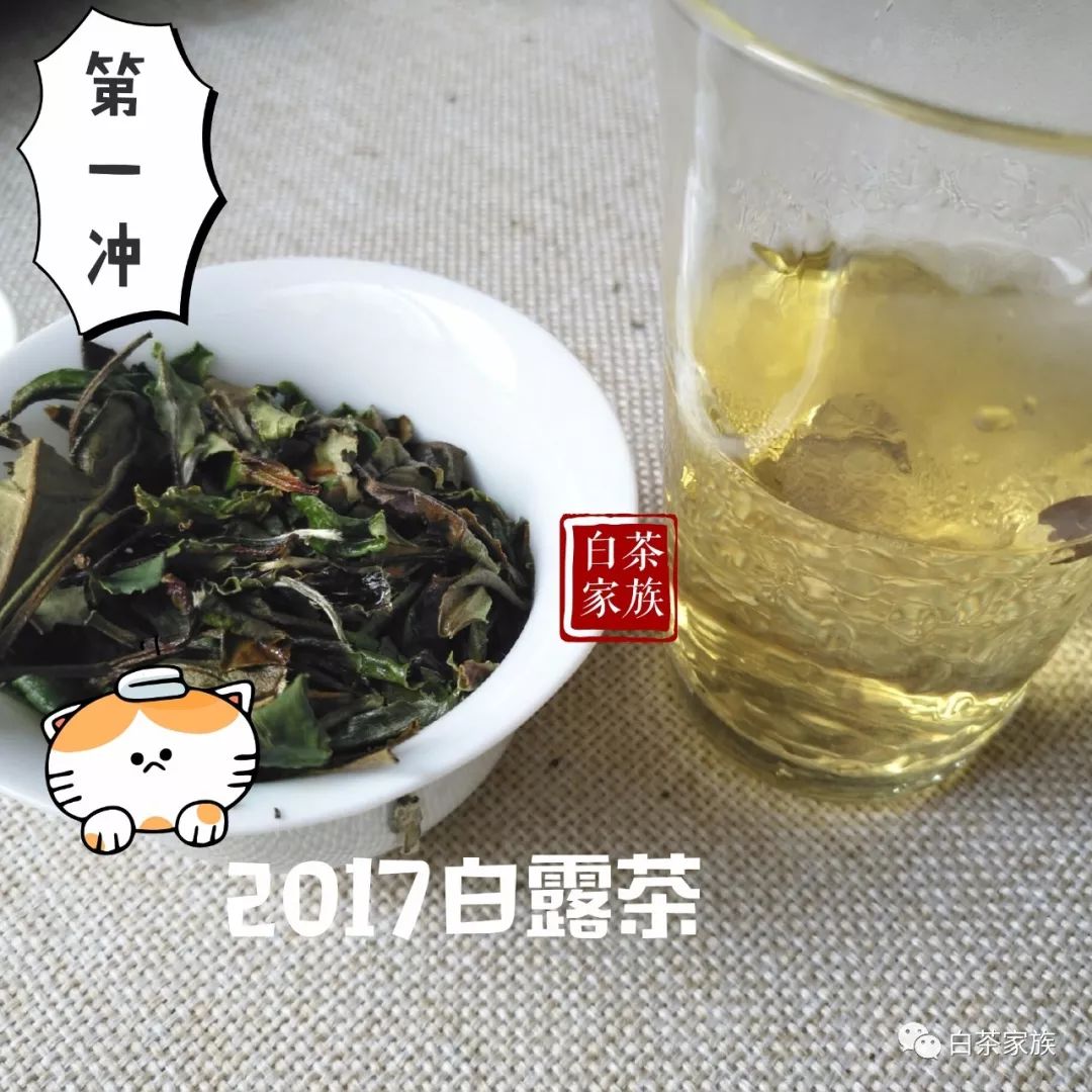 畅说白茶：秋季之后为什么适合喝寿眉？