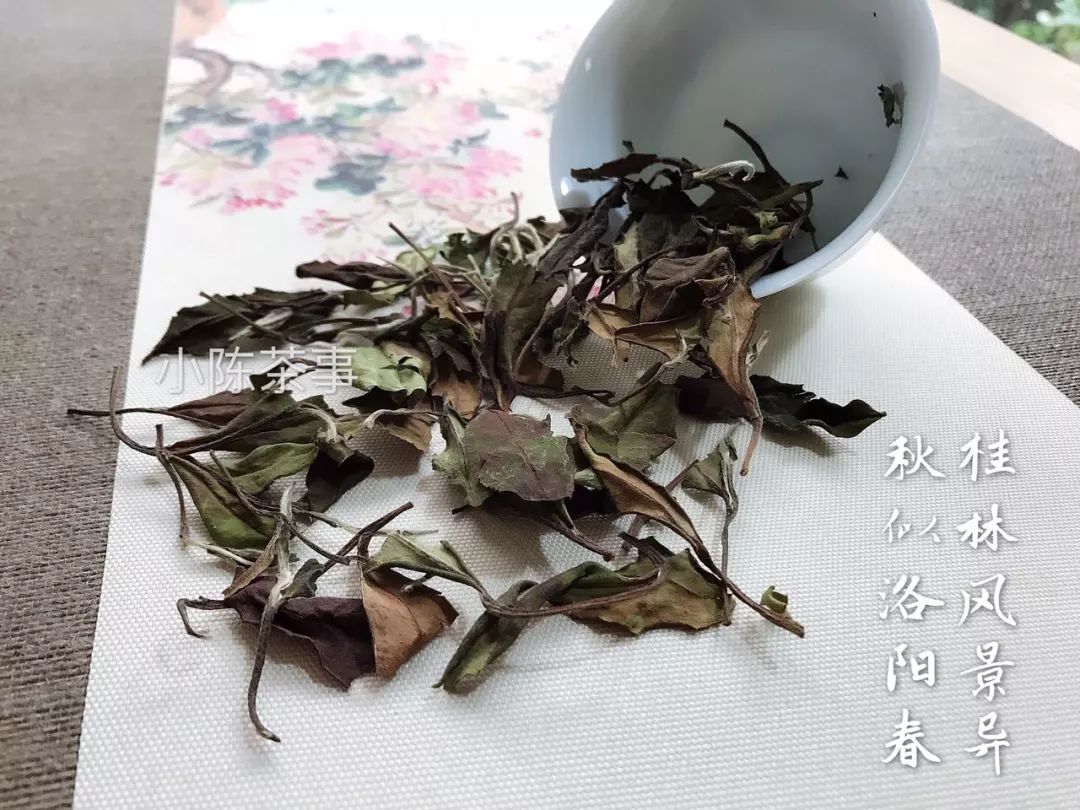茶友：我的寿眉茶饼泡起来很碎，是不是茶叶不好？