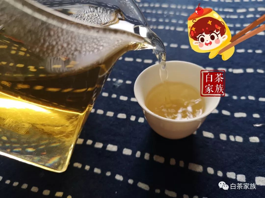 老白茶怎么喝最好？寿眉就得用煮的！