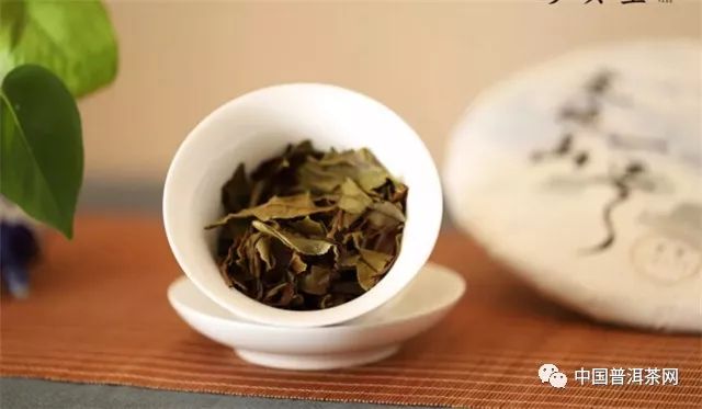 寿眉茶的制作工艺与品质特征丨百科