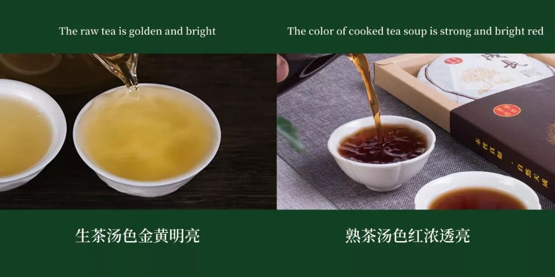怎么区分普洱生茶和熟茶？