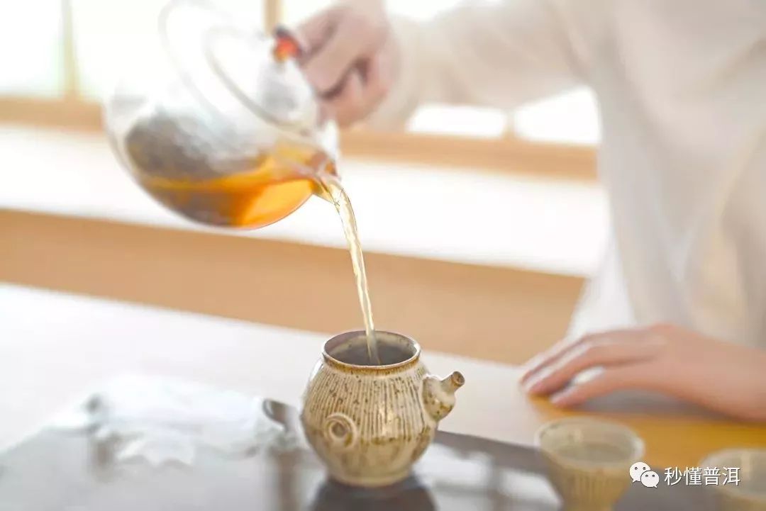 【秒懂普洱】怎么判断普洱生茶品质的好坏