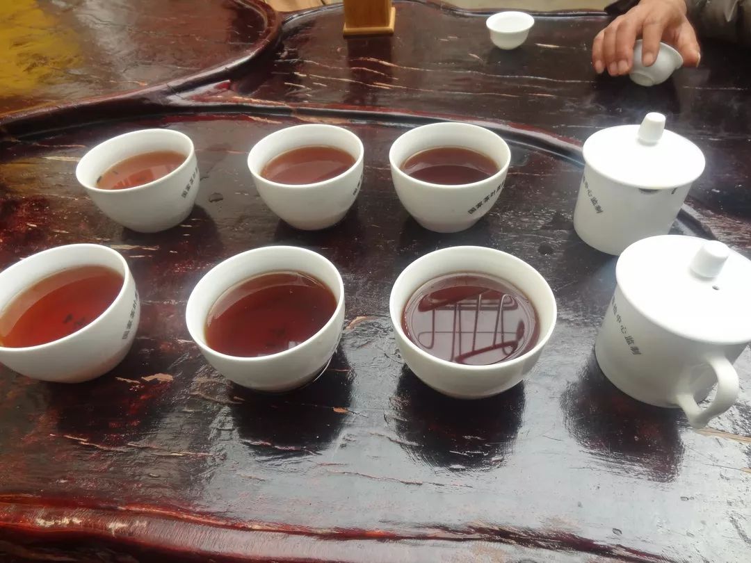 【凤庆茶厂品鉴会】听说冬天喝普洱熟茶很养胃生的