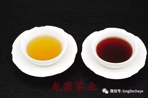 区别：普洱生茶和普洱熟茶有啥不一样