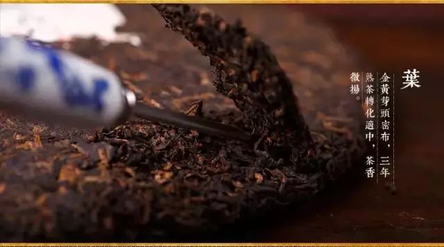 关于茶的知识：普洱熟茶的“堆味”，是霉味还是陈香？