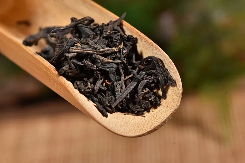 解惑，一文让你快速读懂黑茶的前世今生！