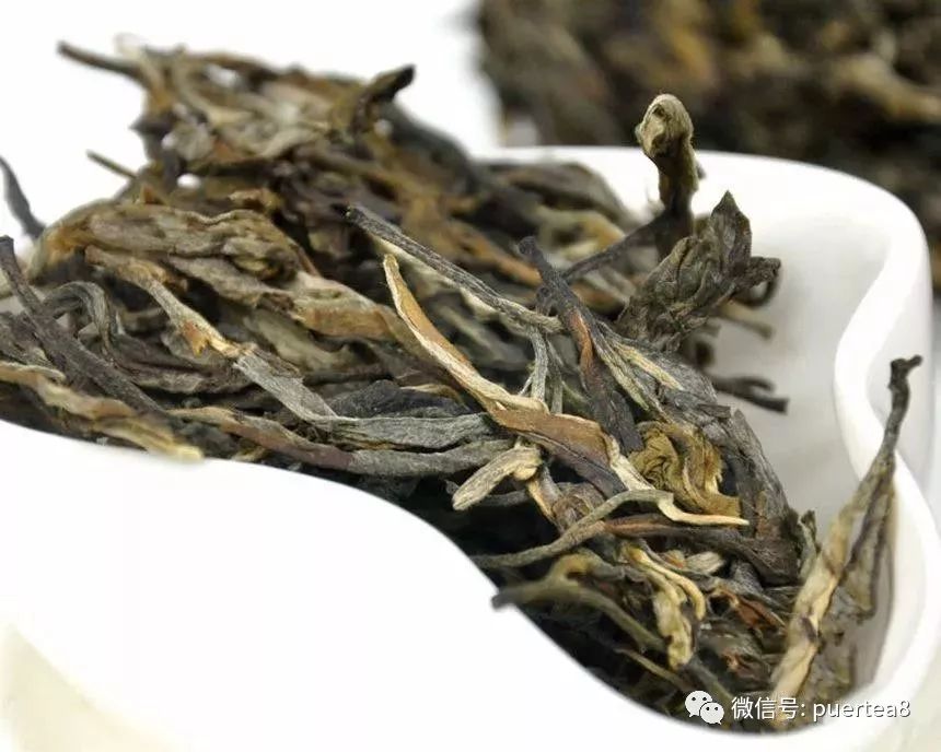 能否从干茶的外形特征辨别普洱茶的优劣？