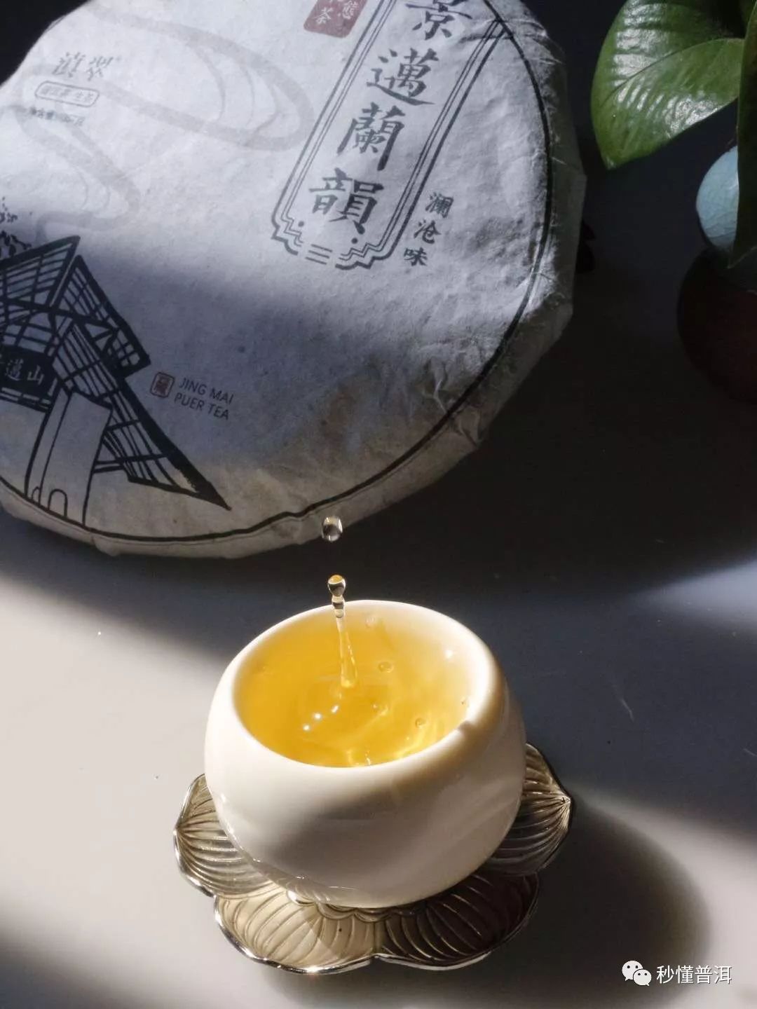 大家所理解的普洱茶的粘稠度是什么？