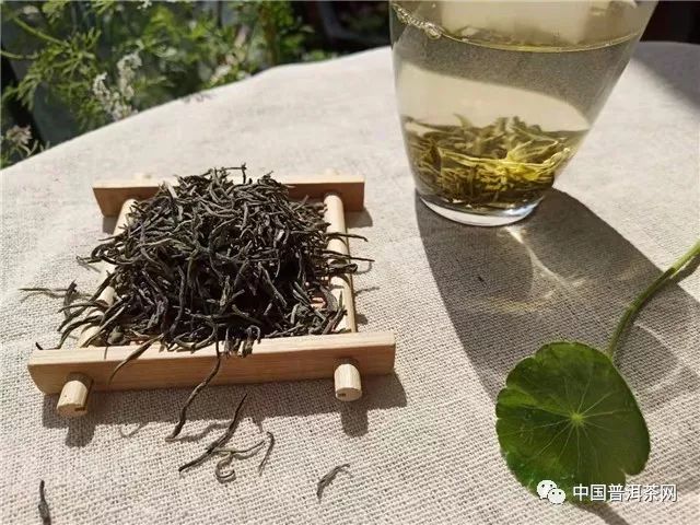 普洱茶、红茶、绿茶、白茶不一样的特点丨百科