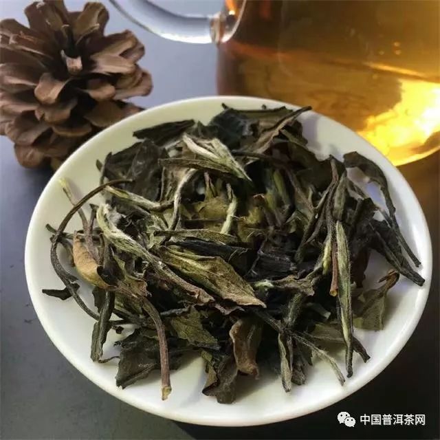 普洱茶、红茶、绿茶、白茶不一样的特点丨百科