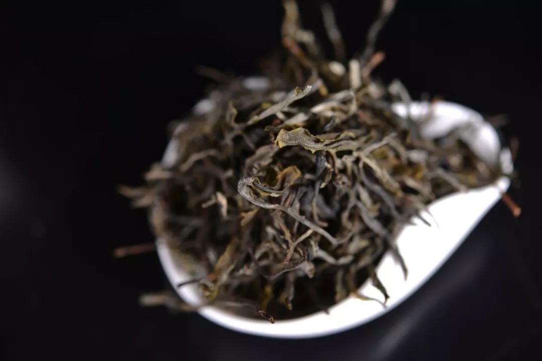 【津品茶话】不苦不涩不为茶，普洱茶的“苦”和“涩”与其后期转化有何关联？