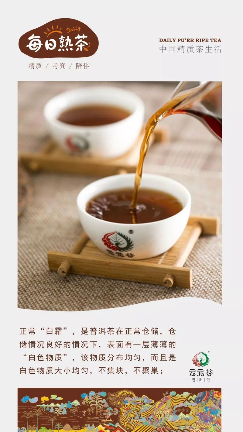 云元谷丨普洱茶的“白霜”（二）