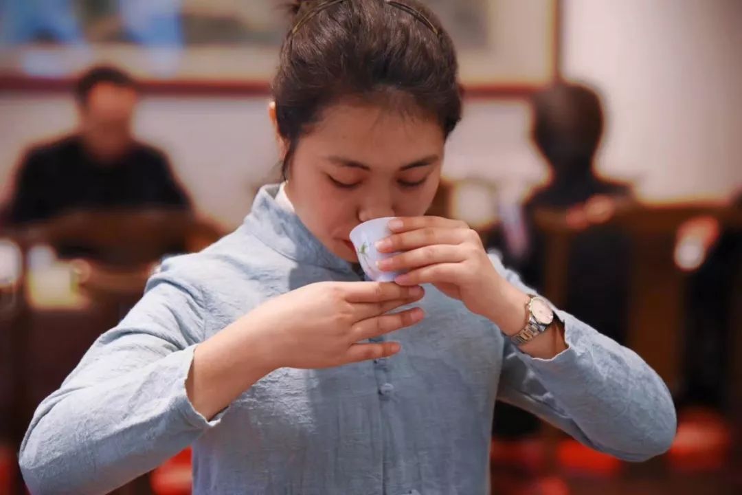 科学解密普洱茶为什么是健康饮品？