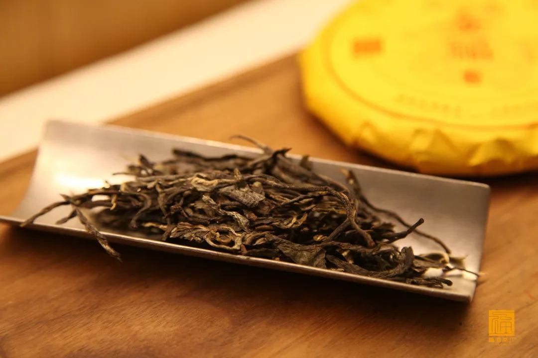 福海讲堂|从干茶条索判断普洱茶的品质，你会吗？