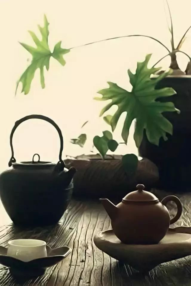 普洱茶应该用什么茶器来泡？