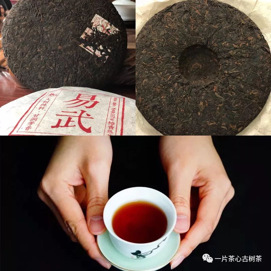 辨普洱茶与红茶之迥异，你会了吗？