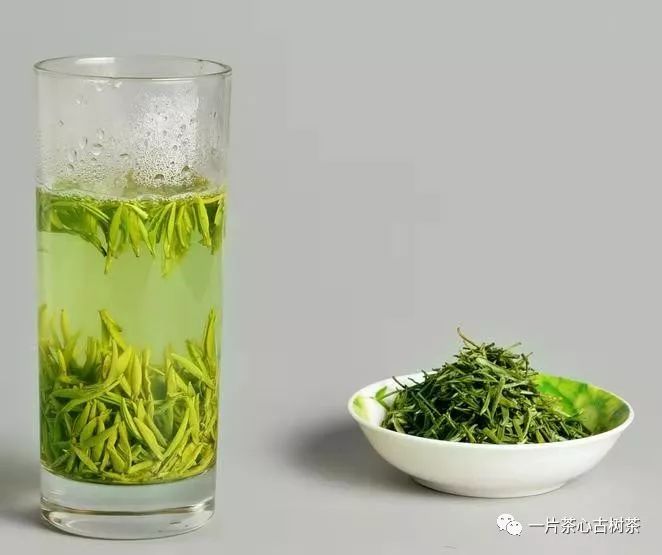 如何辨别普洱茶与绿茶