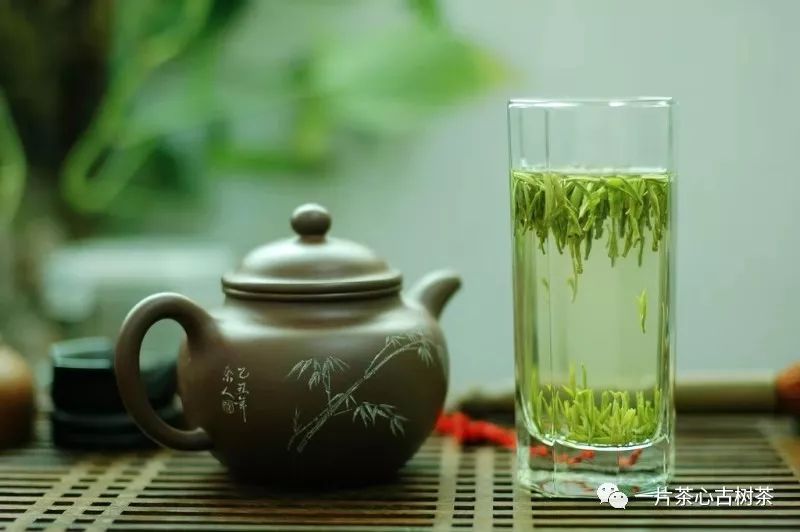 如何辨别普洱茶与绿茶