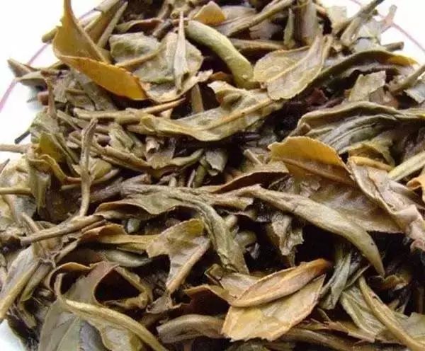 鉴别普洱茶的优劣，看懂三十种叶底