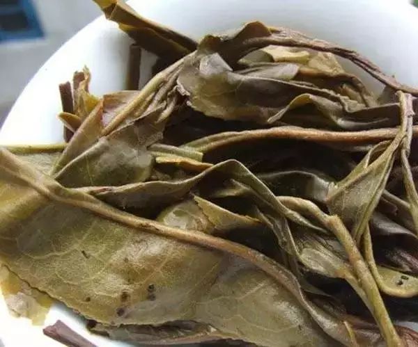 怎么鉴别普洱茶，看懂30种普洱茶叶底！