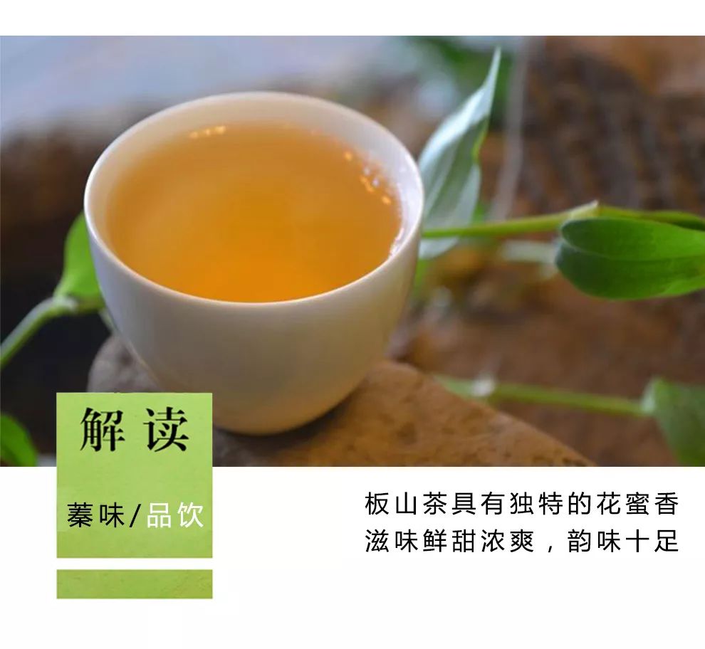 【茶知识】普洱茶的香型分类