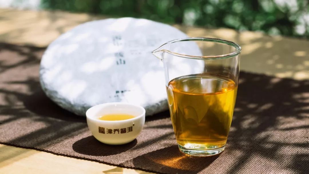 【茶百科】普洱茶的“厚”到底是什么？