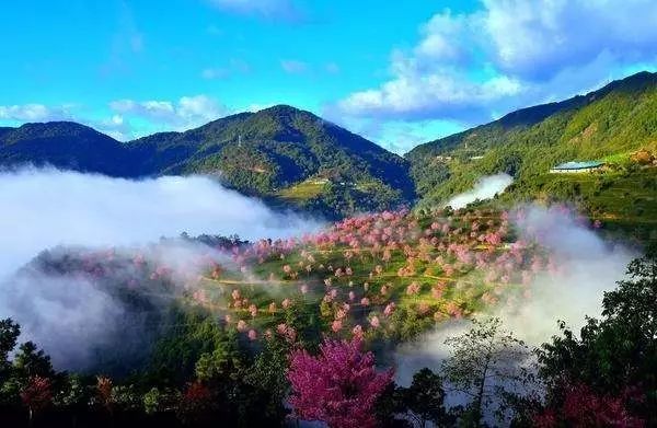 【汇集】18大普洱茶山的特色与口感介绍