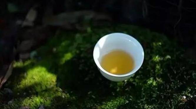 冲泡普洱茶的时候翻动叶底是否会影响普洱茶汤？