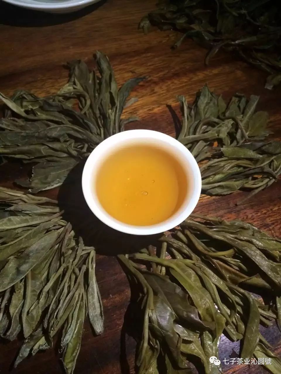 【沁圆號普洱茶】从中医的角度解析普洱茶的养生