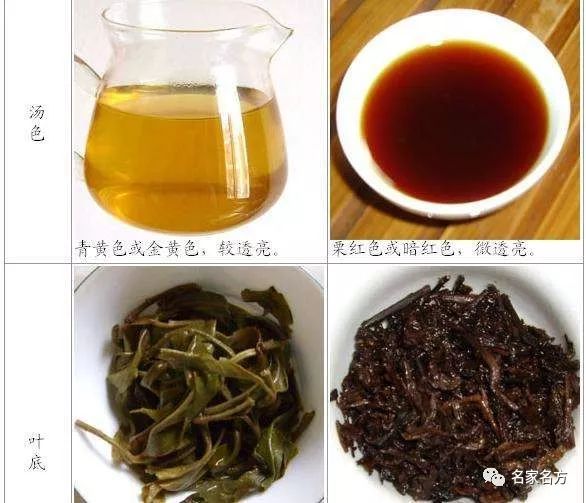 关于普洱茶，我们先来听北京医院心内科主任医师汪芳讲个真实的故事