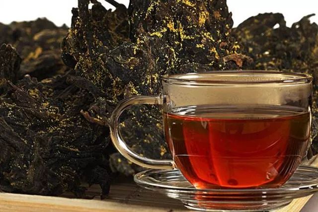 在湘哥黑茶类中，为什么只有茯砖茶会开金花？