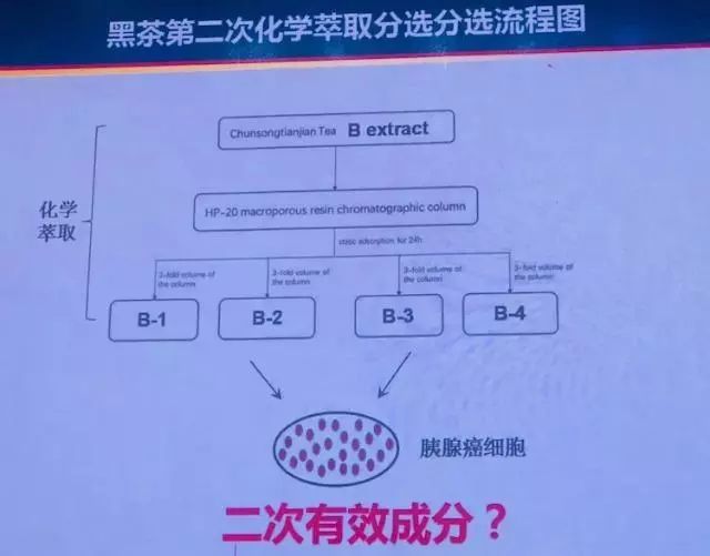 上海交大蒋博士：黑茶抗癌有效成分鉴定及分子机理研究（2018黑茶文化节健康养生高峰论坛）