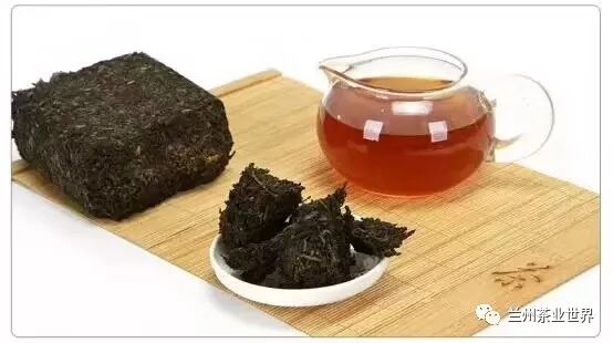 黑茶消脂减肥功能的科学依据