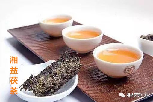 黑茶功效丨黑茶养胃谁与争锋