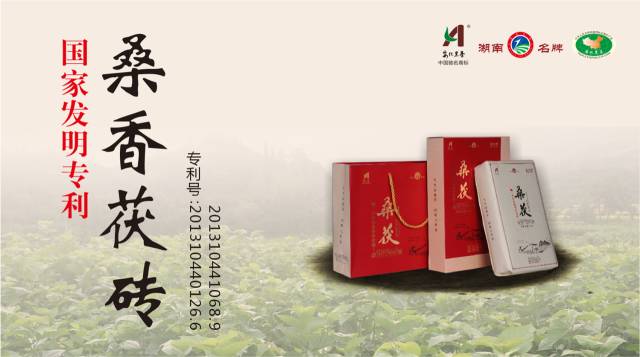 中国唯一一个茶院士陈宗懋院士说：黑茶降血压效果最好!