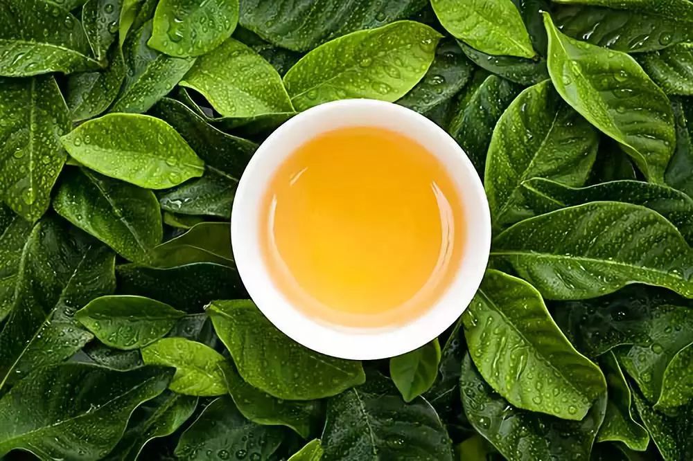 冬天喝黑茶不仅能消除油腻，还可清扫血脂，防止肥胖
