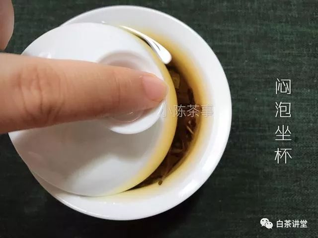 图解八种白茶错误冲泡方式，冲泡不好茶汤，你的问题也许藏在这里
