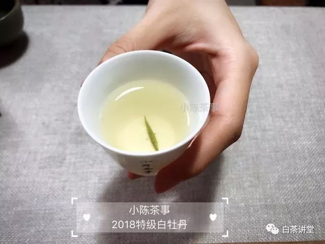三月中旬，2019年春白茶真的上市了吗？