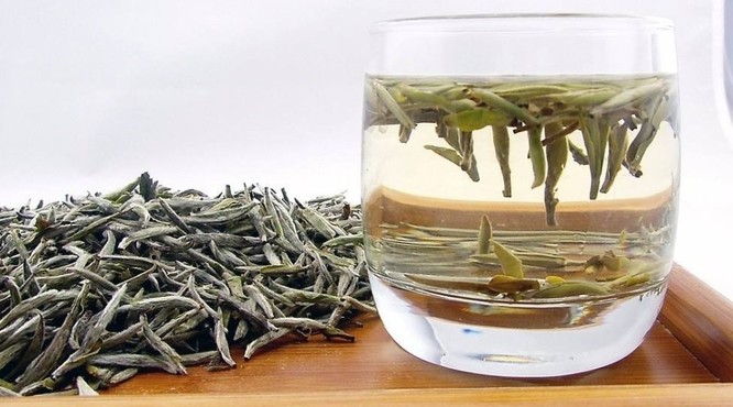 春季湿气重，该怎么喝白茶？